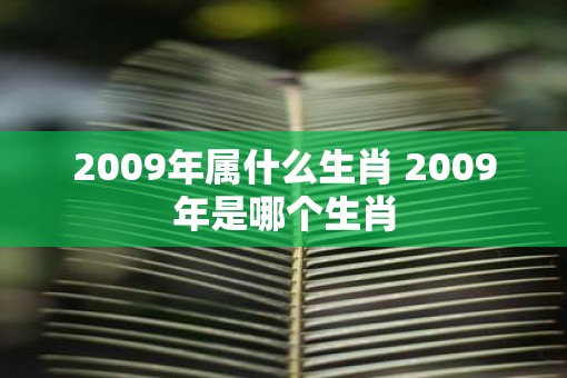 2009年属什么生肖 2009年是哪个生肖