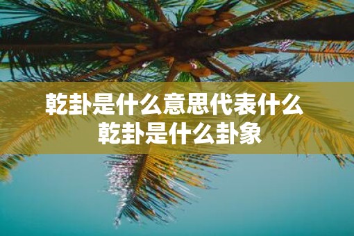 乾卦是什么意思代表什么  乾卦是什么卦象
