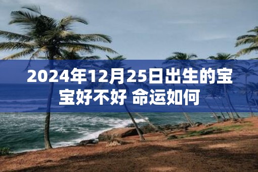 2025年12月25日出生的宝宝好不好 命运如何