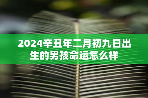 2025辛丑年二月初九日出生的男孩命运怎么样