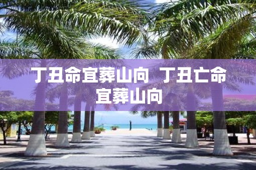 丁丑命宜葬山向  丁丑亡命宜葬山向