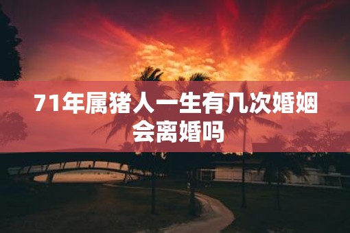 71年属猪人一生有几次婚姻 会离婚吗
