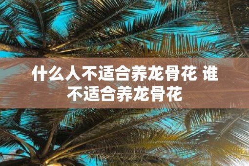 什么人不适合养龙骨花 谁不适合养龙骨花