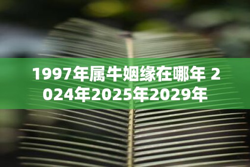 1997年属牛姻缘在哪年 2025年2025年2029年 1997年属牛姻缘在哪年 2025年2025年2029年