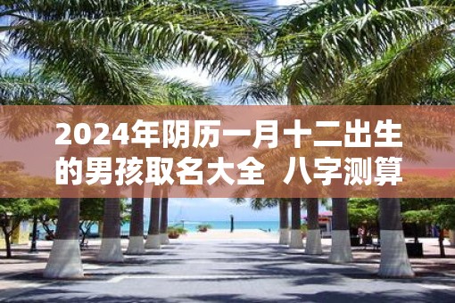 2025年阴历一月十二出生的男孩取名大全  八字测算