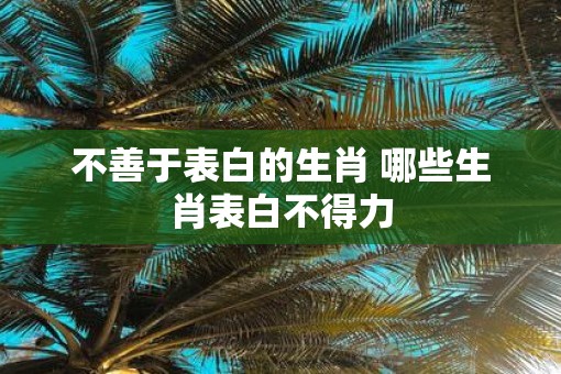 不善于表白的生肖 哪些生肖表白不得力