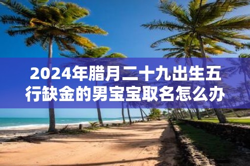 2025年腊月二十九出生五行缺金的男宝宝取名怎么办