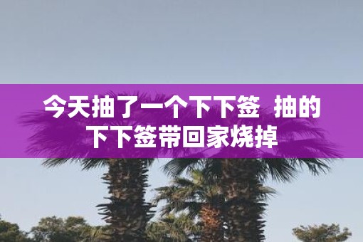 今天抽了一个下下签  抽的下下签带回家烧掉 今天抽了一个下下签  抽的下下签带回家烧掉