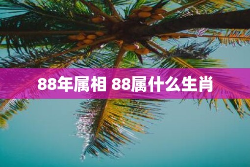 88年属相 88属什么生肖