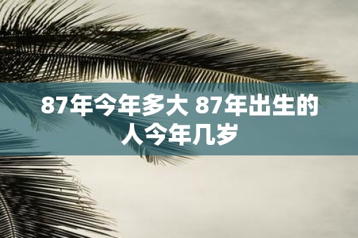 87年今年多大 87年出生的人今年几岁