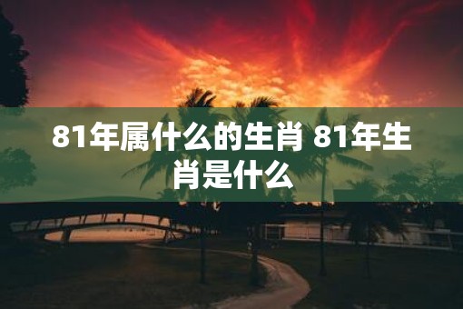 81年属什么的生肖 81年生肖是什么