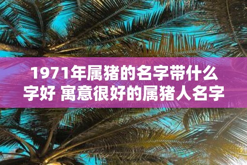1971年属猪的名字带什么字好 寓意很好的属猪人名字