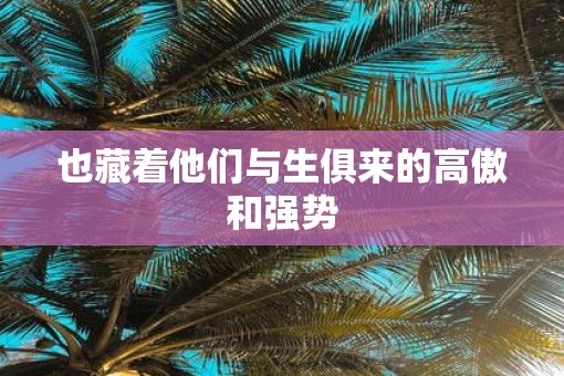 也藏着他们与生俱来的高傲和强势