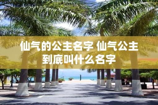 仙气的公主名字 仙气公主到底叫什么名字