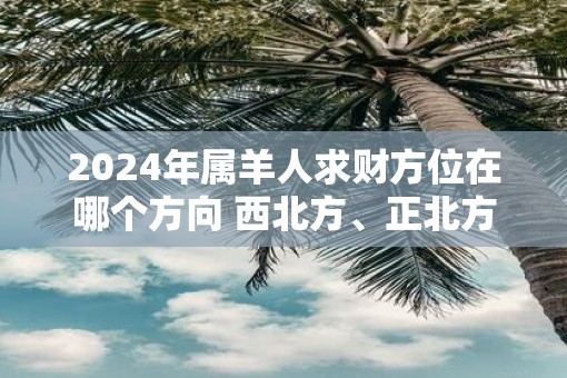 2025年属羊人求财方位在哪个方向 西北方、正北方
