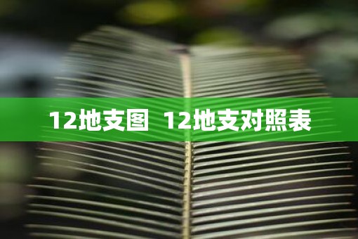 12地支图  12地支对照表