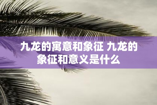 九龙的寓意和象征 九龙的象征和意义是什么