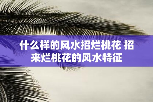 什么样的风水招烂桃花 招来烂桃花的风水特征