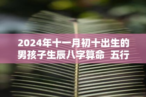 2025年十一月初十出生的男孩子生辰八字算命  五行属性