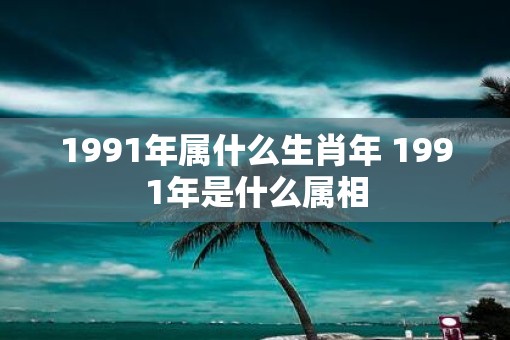 1991年属什么生肖年 1991年是什么属相 1991年属什么生肖年 1991年是什么属相