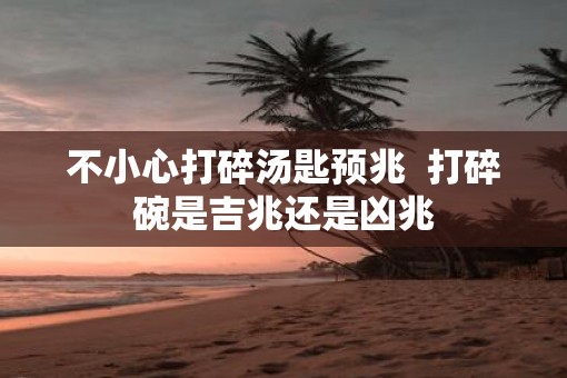 不小心打碎汤匙预兆  打碎碗是吉兆还是凶兆