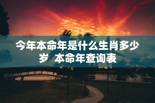 今年本命年是什么生肖多少岁  本命年查询表