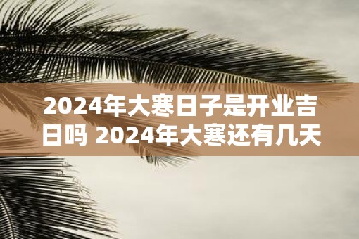 2025年大寒日子是开业吉日吗 2025年大寒还有几天