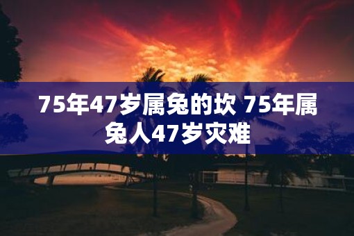 75年47岁属兔的坎 75年属兔人47岁灾难