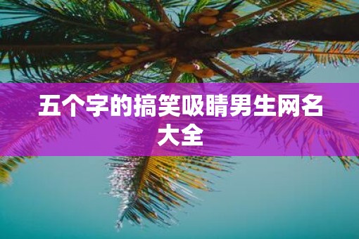 五个字的搞笑吸睛男生网名大全