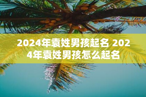 2025年袁姓男孩起名 2025年袁姓男孩怎么起名