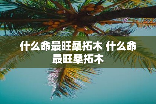 什么命最旺桑拓木 什么命最旺桑拓木