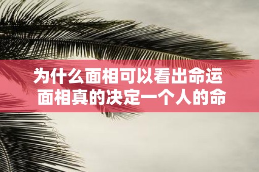 为什么面相可以看出命运  面相真的决定一个人的命运吗