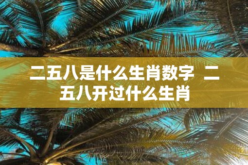 二五八是什么生肖数字  二五八开过什么生肖