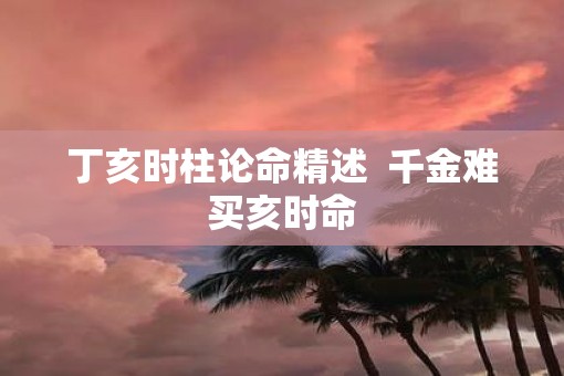 丁亥时柱论命精述  千金难买亥时命