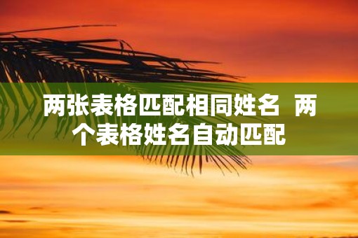 两张表格匹配相同姓名  两个表格姓名自动匹配
