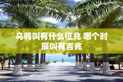 乌鸦叫有什么征兆 哪个时辰叫有吉兆