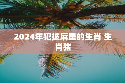 2025年犯披麻星的生肖 生肖猪