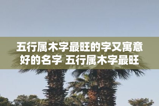 五行属木字最旺的字又寓意好的名字 五行属木字最旺的字男孩