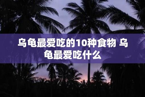 乌龟最爱吃的10种食物 乌龟最爱吃什么