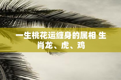 一生桃花运缠身的属相 生肖龙、虎、鸡