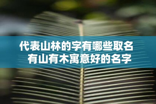 代表山林的字有哪些取名  有山有木寓意好的名字