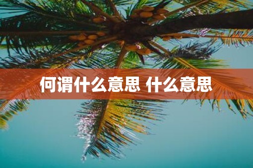 何谓什么意思 什么意思