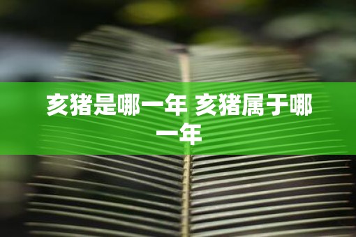 亥猪是哪一年 亥猪属于哪一年