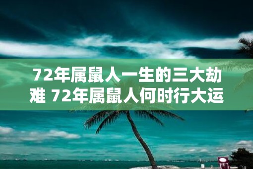 72年属鼠人一生的三大劫难 72年属鼠人何时行大运