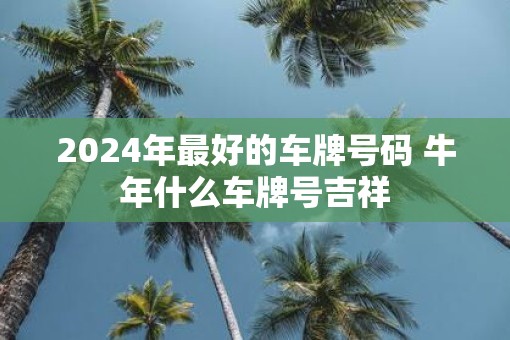 2025年最好的车牌号码 牛年什么车牌号吉祥