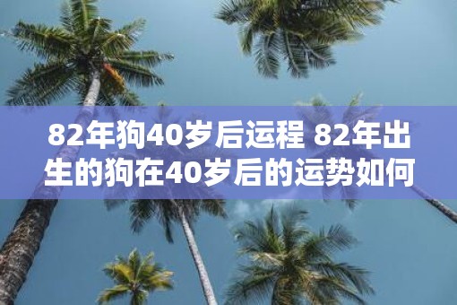 82年狗40岁后运程 82年出生的狗在40岁后的运势如何 82年狗40岁后运程 82年出生的狗在40岁后的运势如何