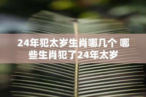 24年犯太岁生肖哪几个 哪些生肖犯了24年太岁