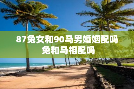 87兔女和90马男婚姻配吗 兔和马相配吗