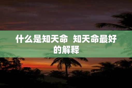 什么是知天命  知天命最好的解释