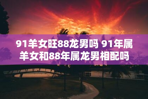 91羊女旺88龙男吗 91年属羊女和88年属龙男相配吗